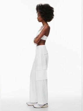 GOLDEN aritzia switchback cargo pant